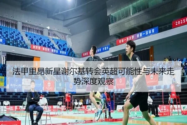 法甲里昂新星谢尔基转会英超可能性与未来走势深度观察